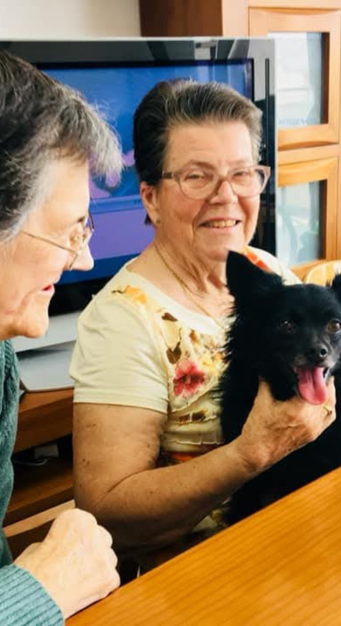 Diseño sin título (38)